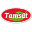 Tamsut logo