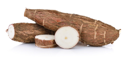 Cassave Root / Cassava CR 16KG - Juurekset  - 5660 - 1