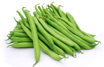 SP. Bonen / Vihreä papu 5KG - Pavut - 11730 - 1