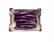 Japanese Eggplant / Pitkä munakoiso 5KG ES - Kurkut, Kurpitsat, Munakoisot - 6460 - 1