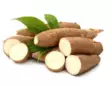 Cassave Root / Cassava CR 18KG - Juurekset  - 5660 - 1