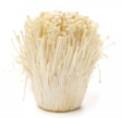 Enoki Mushroom/ Enoki sieni 50x100g - Sienet - 15990 - 1