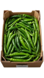 Yesil Biber/ Vihreä pepper KG - Paprikat,Chilit - 5600 - 1