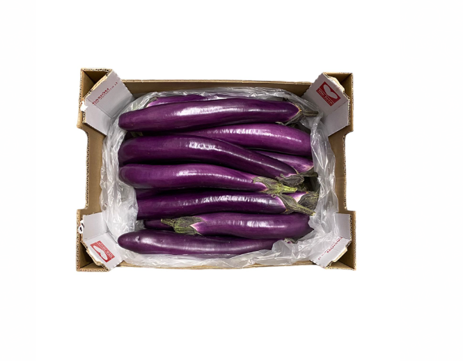 Japanese Eggplant / Pitkä munakoiso 5KG ES - Kurkut, Kurpitsat, Munakoisot - 6460 - 1
