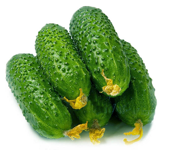 Avomaankurkku 4KG - Kurkut, Kurpitsat, Munakoisot - 8330 - 1