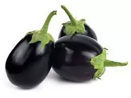 Aubergine Round Black/ Mini Munakoiso ES - Kurkut, Kurpitsat, Munakoisot - 11700 - 1