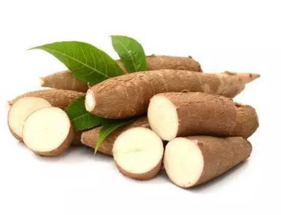 Cassave Root / Cassava CR 18KG - Juurekset  - 5660 - 1