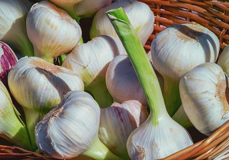 Garlic Sprouts / Valkosipuli varsi 10kg CN - Juurekset  - 14040 - 1