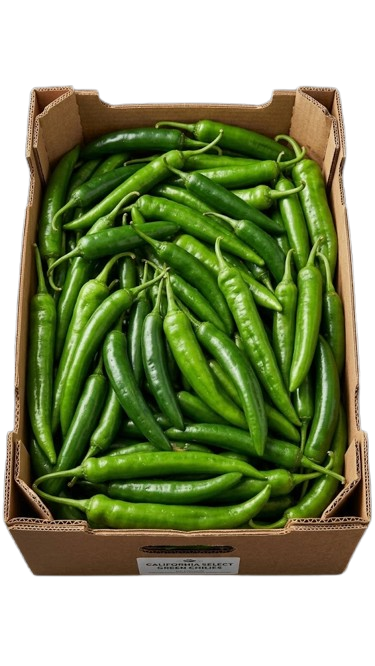 Yesil Biber/ Vihreä pepper KG - Paprikat,Chilit - 5600 - 1