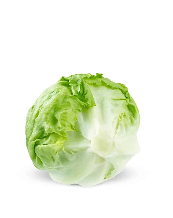 Iceberg lettuce / Jäävuorisalaatti x10 - Salaatit - 14600 - 1