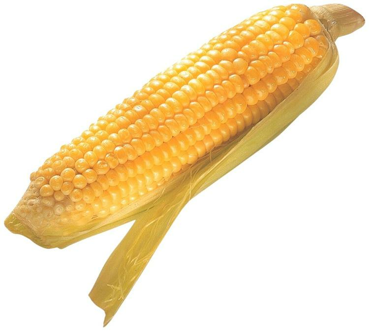 Misir / Tuore maissi - Vihannekset - 7750 - 1
