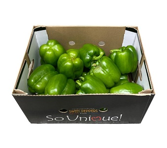 Yesil Biber / Vihreä paprika KG ES - Paprikat,Chilit - 5600 - 1