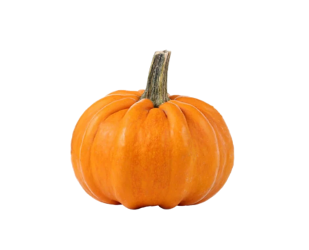 Pumpkin/ Kurpitsa kg - Kurkut, Kurpitsat, Munakoisot - 11681 - 1