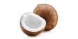Coconut Brown / Kookospähkinä CI - Hedelmät - 3191 - 1