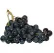 Grapes Black Tumma viinirypäle IT - Hedelmät - 10021 - 1