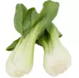 Pak Choi BE - Salaatit - 8151 - 1
