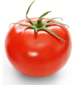 Vine Tomato/ Tomaatti - Tomaatit - 7751 - 2