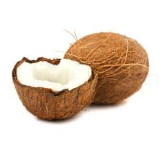 Coconut Brown / Kookospähkinä CI - Hedelmät - 3191 - 1