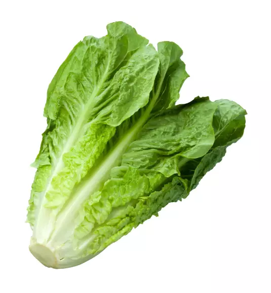 Cos Lettuce/ Roomansalaatti ES - Salaatit - 5941 - 1