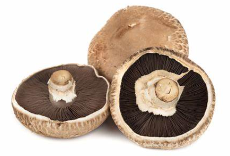 Herkkusieni Portobello - Sienet - 15781 - 1