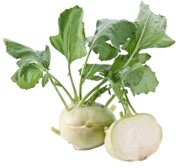 Kohlrabi / Kyssäkaali x20 - Juurekset  - 5931 - 1