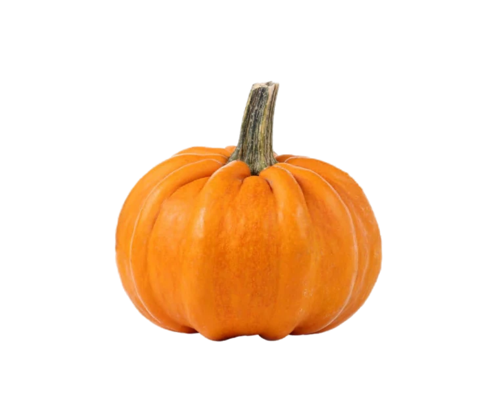 Pumpkin/ Kurpitsa kg - Kurkut, Kurpitsat, Munakoisot - 11681 - 1