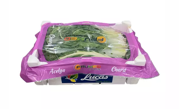 Swiss Chard/ Silk Lehtimangold ES - Tuoreyrtit - 6191 - 1