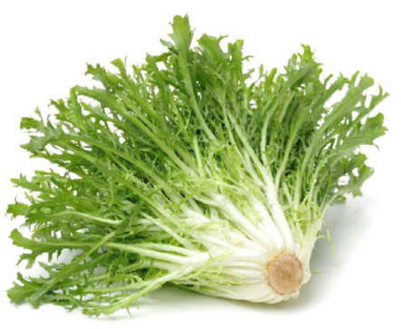 Escarolas / Friseesalaatti - Salaatit - 18392 - 1