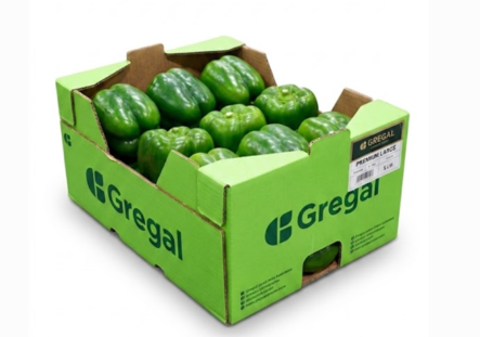 Paprika Green/ Vihreä paprika - Paprikat,Chilit - 13512 - 1