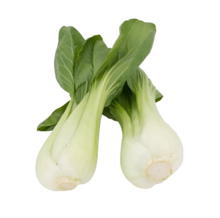 Shanghai Pak Choi - Salaatit - 21252 - 1