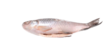 Jona Frozen Rohu Carp/ Musta rohu kokonainen 2kg+ - Pakastekalat - 21422 - 1