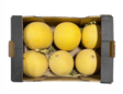 Sari Kavun/ Cantaloupe BOX - Hedelmät - 10702 - 1