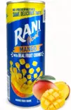 Rani Float Mango Drink/ Mango Juoma 250ml TNK - Limonadit ja virvoitusjuomat - 4402 - 1