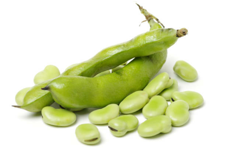 Bakla / Härkäpapu 5KG - Pavut - 18852 - 1