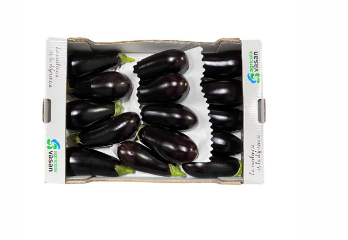 Eggplant/ Munakoiso 5kg - Kurkut, Kurpitsat, Munakoisot - 6102 - 1