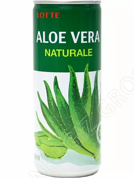 Lotte Aloe Vera Naturate 240ml TNK - Limonadit ja virvoitusjuomat - 14002 - 1