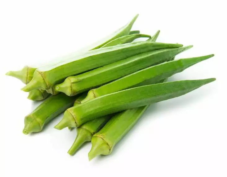 Okra ES - Juurekset  - 6212 - 1