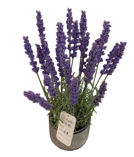 Teko kukka 2756 - Tarvikkeet - 21363 - 1