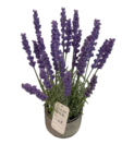 Teko kukka 2756 - Tarvikkeet - 21363 - 1