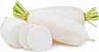Baby Rettich / Mini daikon 6KG - Juurekset  - 14293 - 1