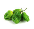 Habanero Green/ Habanero Vihreä 5kg - Paprikat,Chilit - 11703 - 1