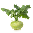 Kohlrabi/ Tunips Cabbbage - Juurekset  - 6233 - 1