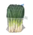 Leeks/ Purjosipuli 5kg NL - Sipulit - 6113 - 1