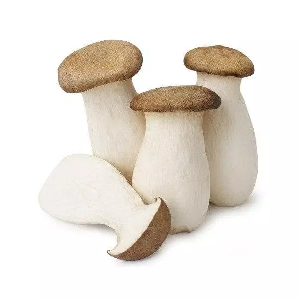 Eryngii Putkivinokas 4kg - Sienet - 13593 - 1