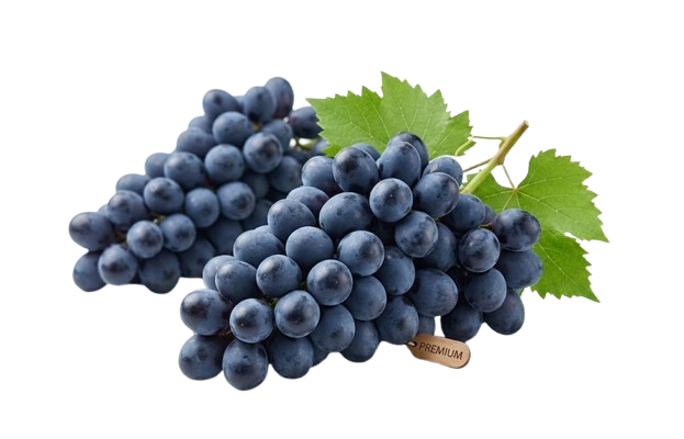 Grape Black/ Tumma Viinirypäle - Hedelmät - 5103 - 1