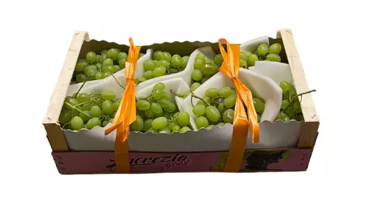 Grape Green / Vihreä Viinirypäle - Hedelmät - 5103 - 1