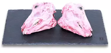 Lamb Head/ Lampaan pää KG - Lammas pakasteet - 9913 - 1