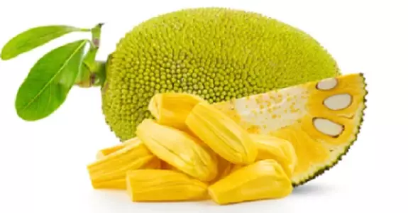 Jackfruit / Jakkihedelmä - Hedelmät - 14843 - 1