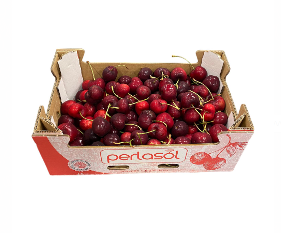 Kirsikka - Hedelmät - 3403 - 1