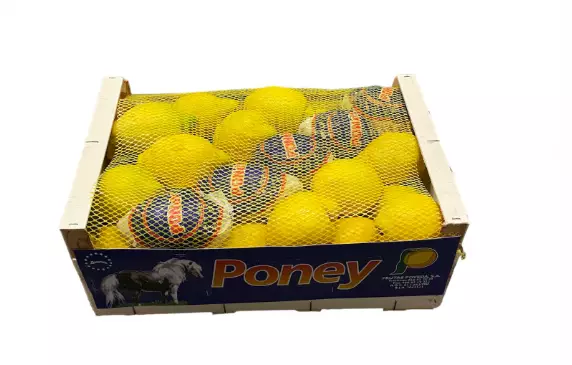 Lemon / Sitruuna 18KG AR - Vihannekset - 8423 - 1